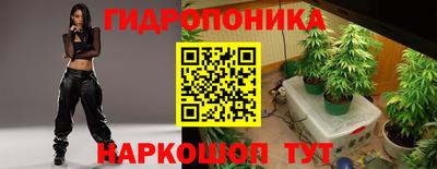 дурь Будённовск