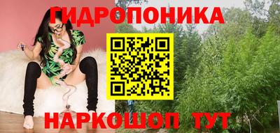 дурь Будённовск